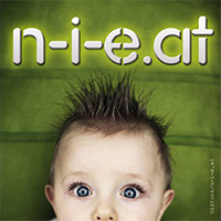 Logo n-i-e